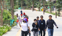 Nusantara Dibuka untuk Umum: Saksikan Langsung Progres Ibu Kota Baru