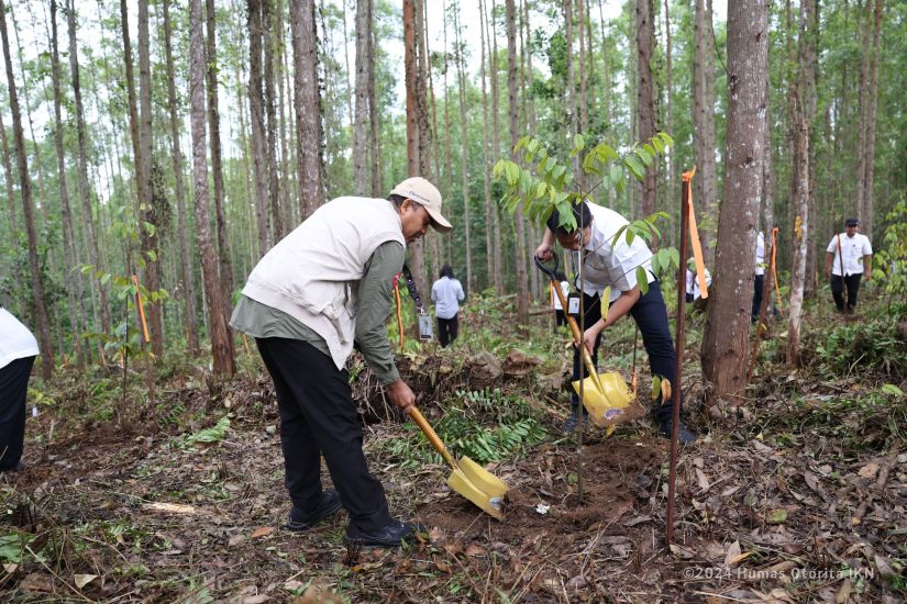 Aktivitas menanam pohon di kawasan Ibu Kota Negara (IKN) Nusantara. (sumber: humas IKN)