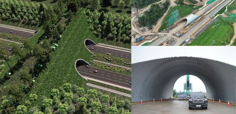 Desain jembatan penyebrangan satwa di Tol akses IKN. (foto: Kementerian PU)