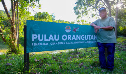 Rumah 113 Orangutan dan 76 Beruang Madu Ini Diresmikan Jadi Kawasan Lindung IKN 