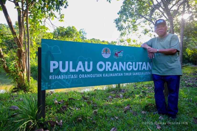 Rumah 113 Orangutan dan 76 Beruang Madu Ini Diresmikan Jadi Kawasan Lindung IKN 