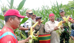 Bupati Kukar Tekankan OPD Terkait Pertanian dan Pangan Aktif Jemput Data di Lapangan