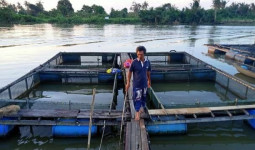 Desa Embalut: Di Balik Tambang, Perikanan Jadi Andalan Ekonomi Warga