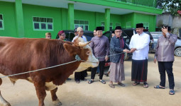 Bupati Kukar Salurkan Sapi Kurban Limosin untuk Ponpes di Tenggarong Seberang