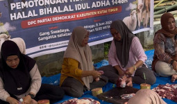 Demokrat Kutim Salurkan 7 Ekor Sapi Qurban Sambut Iduladha 1446 H