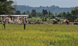 Pemkab Kukar Siapkan Embung & Irigasi untuk Perkuat Pertanian Bukit Biru