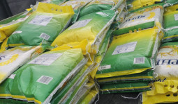 Lewat GPM, Pemkab Kukar Salurkan Subsidi Beras dan Bahan Pokok