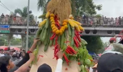Budaya dan Hasil Bumi Jadi Tema Utama Pawai HUT RI Anggana