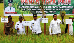 Panen Raya Kukar Perkuat Posisi Sebagai Sentra Pangan Kaltim