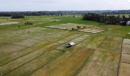 Kukar Bangun Ekosistem Pertanian