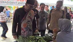 Sayur Murah, Semangat Wanita Tani