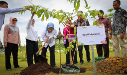 MenPANRB dan Insan Otorita IKN Tanam Ratusan Pohon di KIPP Nusantara