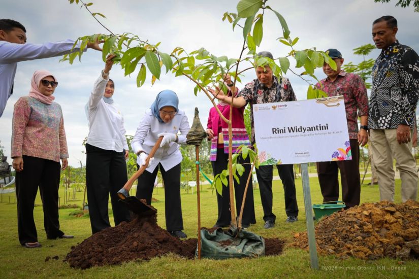 MenPANRB dan Insan Otorita IKN Tanam Ratusan Pohon di KIPP Nusantara