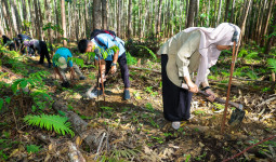 Libur Paskah di IKN: 59 Ribu Pengunjung Ikut Menanam Pohon