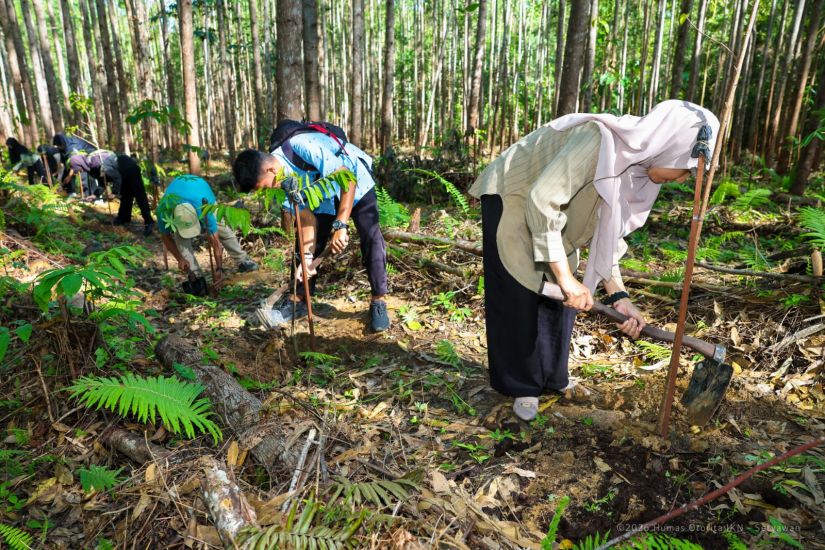 Libur Paskah di IKN: 59 Ribu Pengunjung Ikut Menanam Pohon