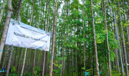 Momen Liburan Hari Kenaikan Yesus Kristus, OIKN Ajak Pengunjung Tinggalkan Jejak Hijau